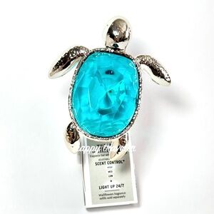 FACETED TURTLE Wallflowers Plug